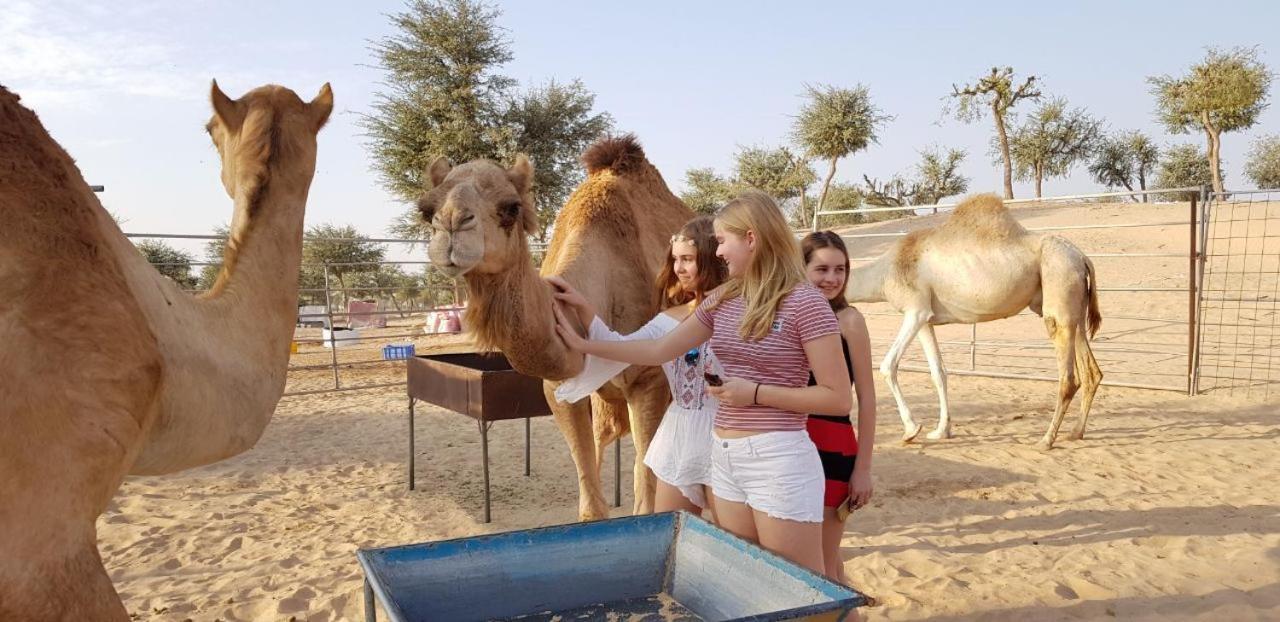Legend Desert Camp Fulayj al Masha'ikh ภายนอก รูปภาพ